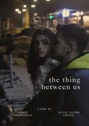 Poster to the movie "The Thing Between Us" #1167969