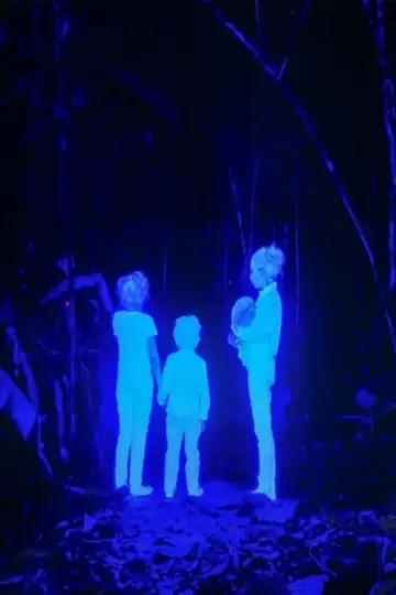 Poster to the movie "The Lost Children" #880985