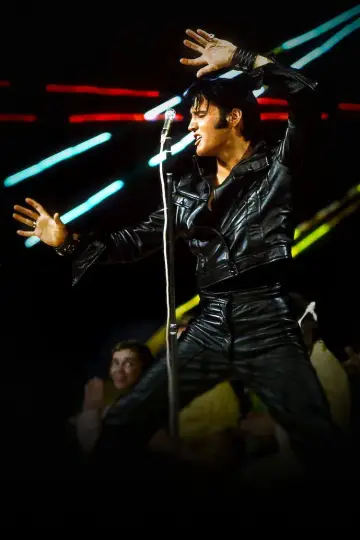Poster to the movie "Return of the King: The Fall and Rise of Elvis Presley" #680642