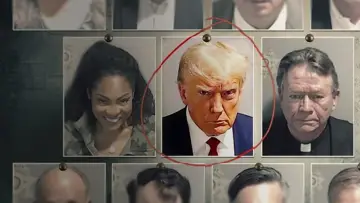 Backdrop to the movie "Trump: The Criminal Conspiracy Case" #730059