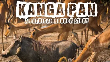 Backdrop to the movie "Disparitions autour du Kanga Pan" #1157656