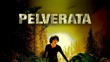 Backdrop to the movie "Pelverata" #936595