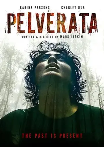 Poster to the movie "Pelverata" #936598