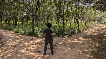 Backdrop to the movie "Hunt" #735535