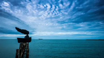 Backdrop to the movie "A Mulher Barco" #920002