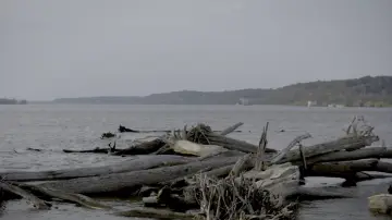 Backdrop to the movie "Smallpox Island" #965246