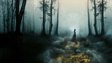 Backdrop to the movie "Gale: Yellow Brick Road" #534571