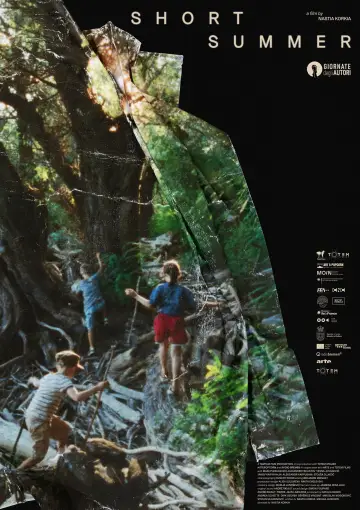Poster to the movie "Short Summer" #1151314