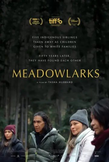 Poster to the movie "Meadowlarks" #623416