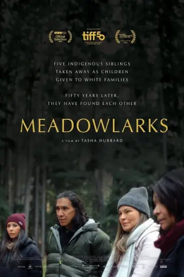 Poster to the movie "Meadowlarks" #623420