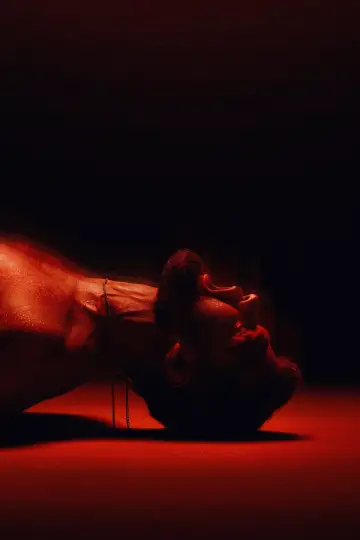 Poster to the movie "Diés Iraé" #1536032