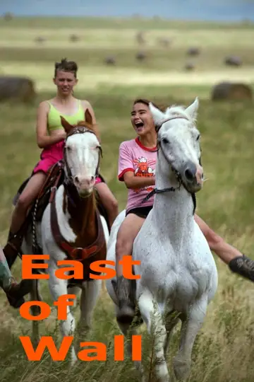 Poster to the movie "East of Wall" #617511