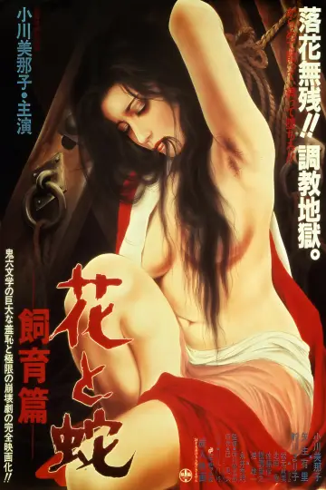 Poster to the movie "Flower and Snake 3: Punishment" #836573