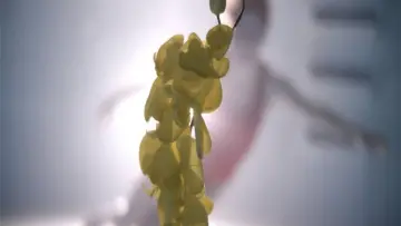Backdrop to the movie "Upstream Color" #1093275