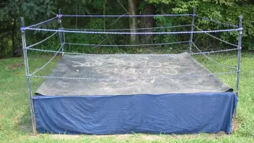 Backdrop to the movie "Backyard Dogs" #735680