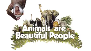 Backdrop to the movie "Animals Are Beautiful People" #1175239