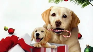 Backdrop to the movie "The Dog Who Saved the Holidays" #1004015