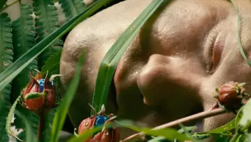 Backdrop to the movie "The Jungle" #945176