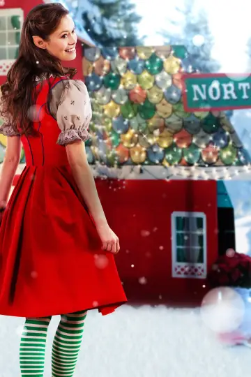 Poster to the movie "Help for the Holidays" #428484
