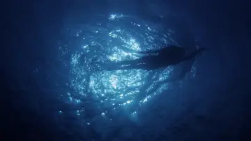 Jaws, a Monstrous Success poster