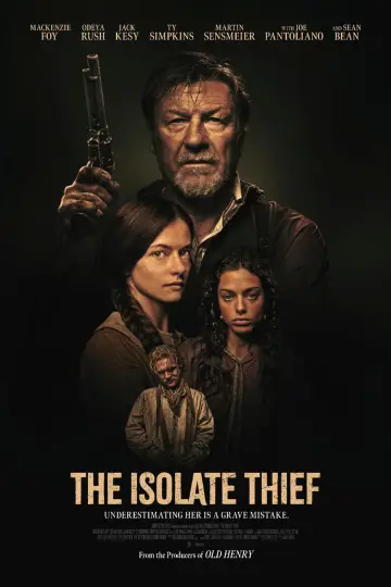 Poster to the movie "The Isolate Thief" #913745