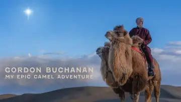 Backdrop to the movie "My Epic Camel Adventure With Gordon Buchanan" #982004