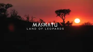 Backdrop to the movie "Mashatu: Land of Leopards" #1629371