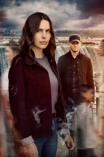 Poster to the movie "Not So Perfect Stranger" #956975