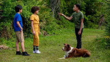 Backdrop to the movie "Pet Investigators" #716644