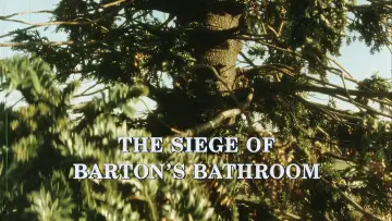 Backdrop to the movie "The Siege of Barton