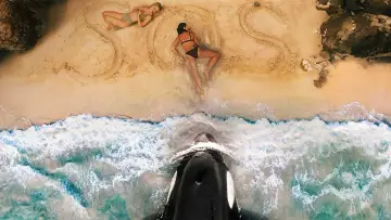 Backdrop to the movie "Killer Whale" #509943