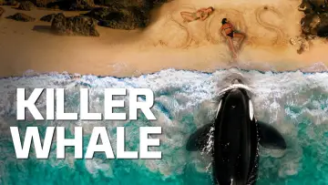 Backdrop to the movie "Killer Whale" #509949