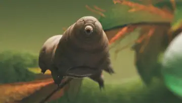 Backdrop to the movie "Tiny and Tough - The Incredible Resilience of Tardigrades" #1618075