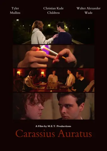 Poster to the movie "Carassius Auratus" #1147483