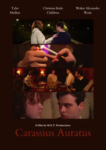 Poster to the movie "Carassius Auratus" #1147484