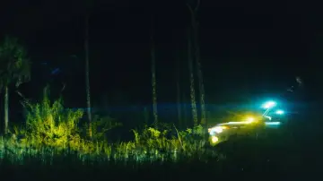Backdrop to the movie "The Python Hunt" #819914