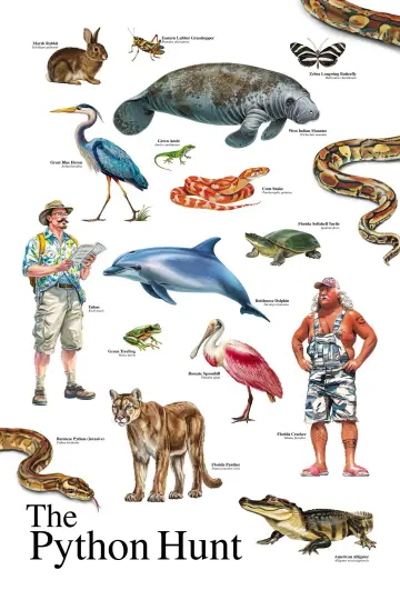 Poster to the movie "The Python Hunt" #913090