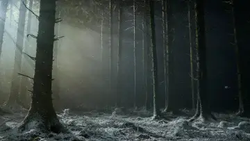 Backdrop to the movie "Werwulf" #930767