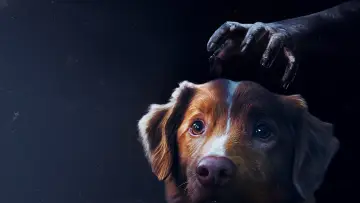 Backdrop to the movie "Good Boy" #517143
