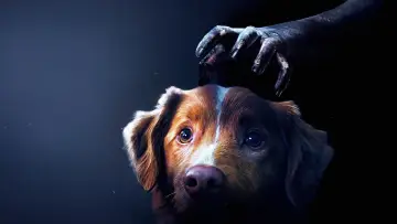 Backdrop to the movie "Good Boy" #517150