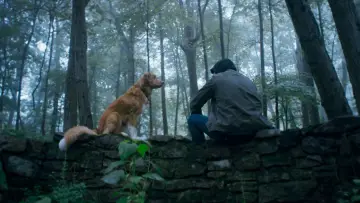 Backdrop to the movie "Good Boy" #517166