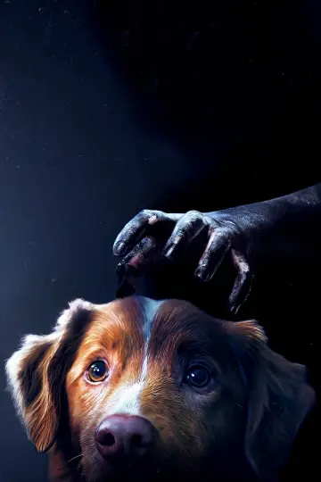 Poster to the movie "Good Boy" #517290