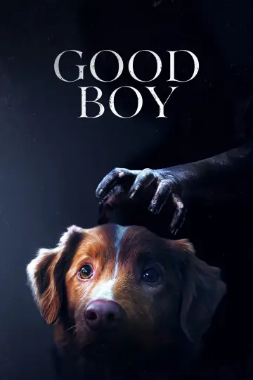 Poster to the movie "Good Boy" #517321