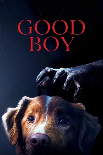 Poster to the movie "Good Boy" #517330