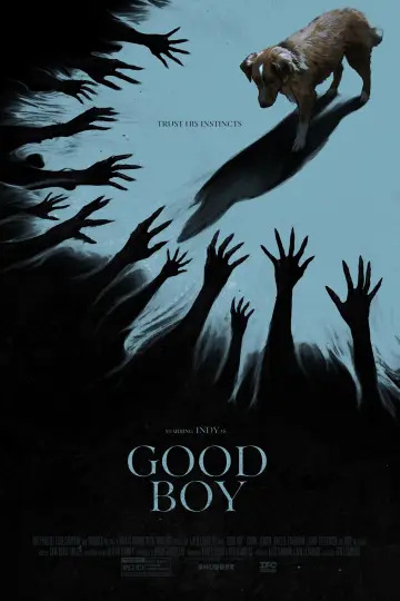 Poster to the movie "Good Boy" #517336