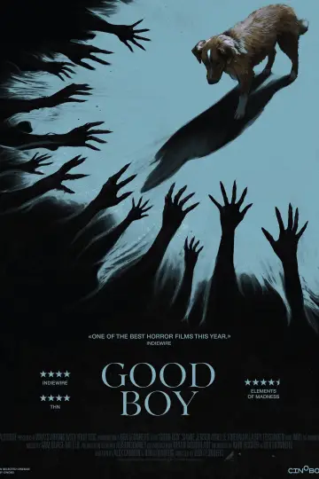 Poster to the movie "Good Boy" #517355