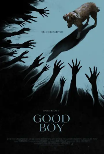 Poster to the movie "Good Boy" #517413
