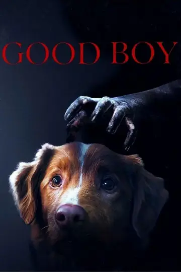 Poster to the movie "Good Boy" #517433
