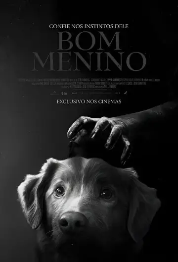 Poster to the movie "Good Boy" #517436