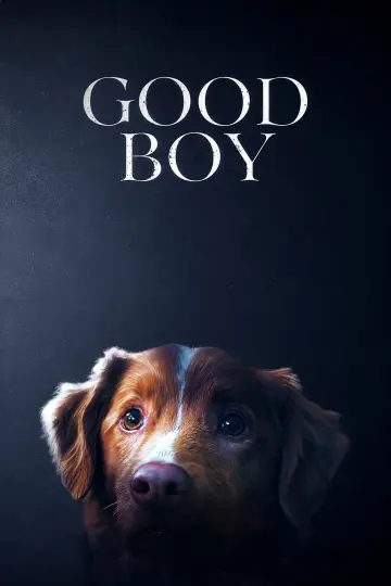 Poster to the movie "Good Boy" #830669